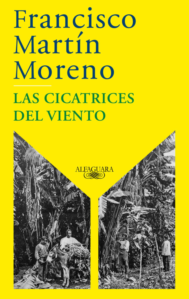 Las cicatrices del viento