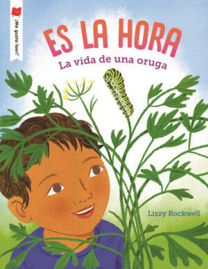 Es la hora. La vida de una oruga