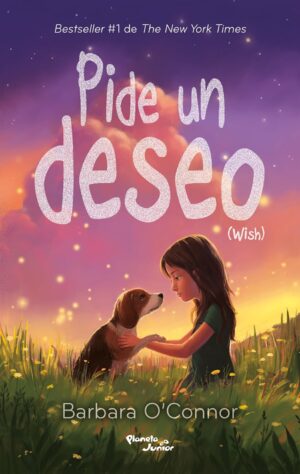 Pide un deseo