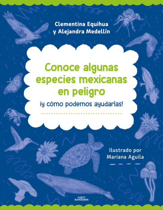 Conoce algunas especies mexicanas en peligro ¡y cómo podemos ayudarlas!